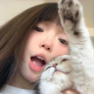 台北女子图鉴